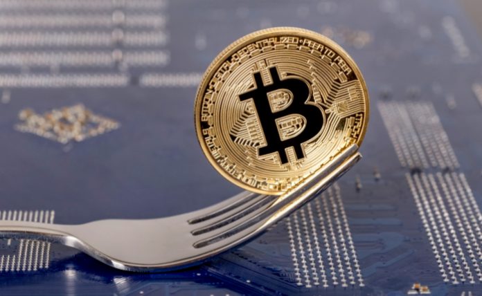 bitcoin cash fork