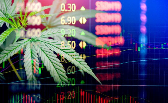 marijuana stocks