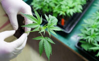 Canopy Growth